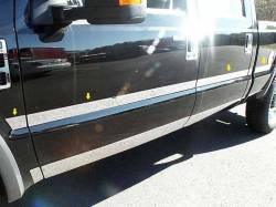 Quality Automotive Accessories - Quality Automotive MI48323 Molding Insert 08-10 Ford F250 - Image 1