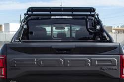 Addictive Desert Designs - Addictive Desert Designs C115802800103 Race Series Chase Rack for 04-26 F150 - Image 3