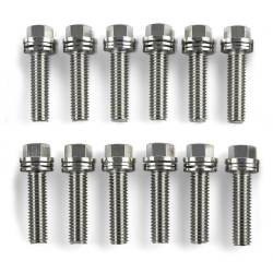 Proform - Proform 66755 Wedge-Locking Header Bolts Hex Head M8x1.18 1" LS Nickel Plt 12Pc - Image 1