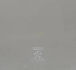 Auto Metal Direct - AMD 380-1468-T Windshield Green Tint for 68-70 B-Body Hardtop/Sedan 2DR - Image 3