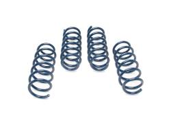 Dinan - Dinan D100-0902 .5" F/R Drop Coil Spring Set for F10 BMW 550i 4.4 - Image 1