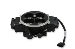 Holley EFI - Holley EFI 550-1081 Fuel Injection System - Image 10