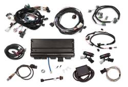 Holley EFI - Holley EFI 550-1317 Fuel Injection System - Image 1