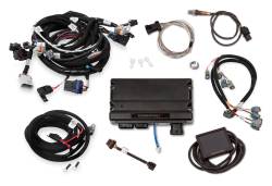 Holley EFI - Holley EFI 550-905 Car GM GM LS 294 325 346 364 376 427 Fuel Injection System - Image 1