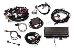 Holley EFI - Holley EFI 550-919 Car GM GM LS 294 325 346 364 376 427 Fuel Injection System - Image 2