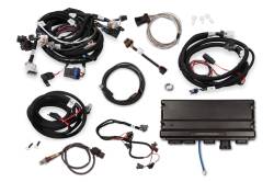 Holley EFI - Holley EFI 550-920T Fuel Injection System for GM LS 294/325/346/364/376/427 - Image 1