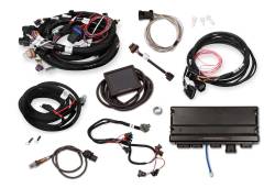 Holley EFI - Holley EFI 550-931 Car GM GM LS 294 325 346 364 376 427 Fuel Injection System - Image 1