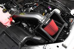 AEM Induction - AEM Induction 21-8129DC Brute Force Induction System for 15-20 F150 - Image 4