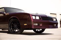 Aldan American - Aldan American AGFHS Coilover 73-77 A-Body 78-88 G-Body 75-79 X-Body Front 550LB - Image 2