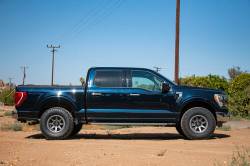 ICON Vehicle Dynamics - ICON 97720EP Rear 0-1" Lift 2.5 VS PB/CDEV Shocks Pair for 21-26 Ford F150 - Image 3