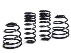 H&R Special Springs LP - H&R 29513 Sport Spring Kit - Image 1