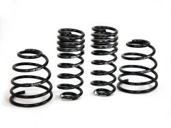 H&R Special Springs LP - H&R 29513-2 Sport Spring Kit - Image 1