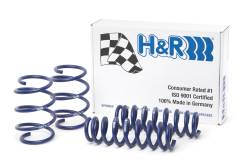 H&R Special Springs LP - H&R 28832-2 Lowering Springs F1.75" R1.4" for Select 13-16 BMW 3-Series - Image 1