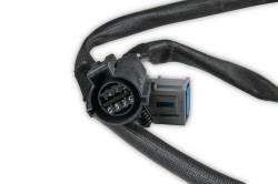 Holley - Holley Performance 12-946 Drop" Fuel Pump/Module Assembly for 01-04 Ford Mustang - Image 4