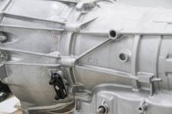 Earl's Performance - Earls Performance 1128ERL Transmision Cooler Adapter - Image 10