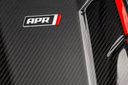 APR - APR MS100255 Audi 2.9 Engine Cover - Image 4