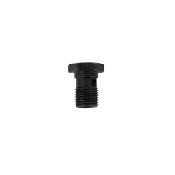 AEM Electronics - AEM Electronics 25-635 Fuel Pressure Regulator Bolt - Image 1