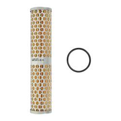 AEM Electronics - AEM Electronics 25-202 Fuel Filter Element - Image 1