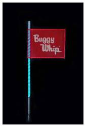 Buggy Whip - Buggy Whip 4' LED Bright Whip Light-Teal Quick Release BWBRTLED4TQ - Image 1