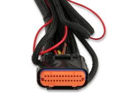 MSD - MSD Ignition 2266 Complete Main Wiring Harness - Image 3