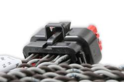 MSD - MSD Ignition 80001 Coil Harness Pro 600 - Image 4
