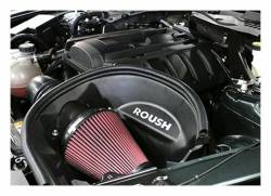 Roush Performance 421827 Cold Air Intake Kit for 15-17 Mustang 2.3L Ecoboost