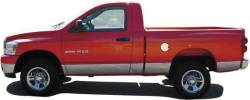 Quality Automotive Accessories - QAA TH42932 Stainless Rocker Panel Trim 10pc for 02-08 Dodge Ram - Image 2