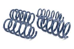 Dinan - Dinan D100-0940 18-23 Tesla 3 Coil Spring Set - Image 6