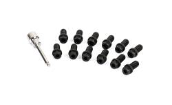 Cometic Gasket Automotive - Cometic CF1009 Header Bolts 3/8 16 3/4" - Image 1