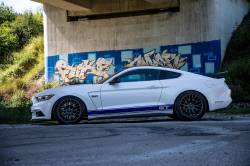 ST Suspensions - ST Suspensions 18230865 Coilover Adj. Spring Lowering Kit for 15-18 Mustang - Image 9
