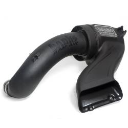 Banks Power - Banks Power 41888-D Ram-Air Intake Dry Filter for 15-17 Ford F150 5.0 - Image 1