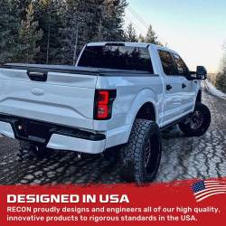Recon - Recon 264468CL OLED Tail Lights Clear Lens 18-20 Ford F150 - Image 3