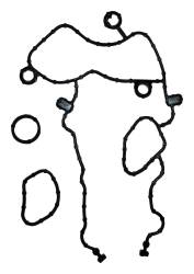 Crown Automotive Jeep Replacement - Crown Automotive 68228480AA Timing Cover Gasket Set for 12-15 Jeep Wrangler JK - Image 1