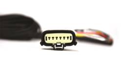 Brandmotion - Brandmotion 9002-7440 Dual Mount License Plate Backup Camera w/Tailgate Harness - Image 2