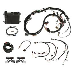 Holley EFI - Holley EFI 550-628 Fuel Injection Conversion Kit for 1900 Ford Coyote 302/315 - Image 1