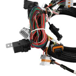 Holley EFI - Holley EFI 550-628N Fuel Injection Conversion Kit for 1900 Ford Coyote 302/315 - Image 4