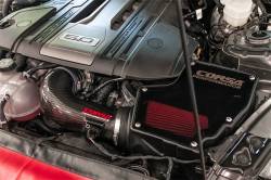 Corsa Performance - Corsa 44007D Drytech 3D Closed Box Air Intake for 18-23 Ford Mustang GT - Image 2