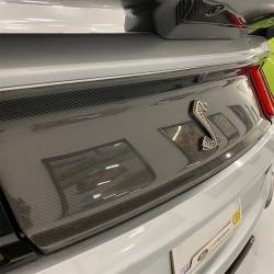 Ford Performance Parts - Ford Performance M-16600-MCF RR Deck Lid Trim Panel for 20-22 GT500 Carbon Fiber - Image 201