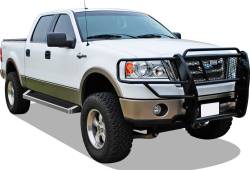 APS - APS IRunning Running Boards Polish 04-08 Ford F150 Crew IB06RJD4A - Image 2