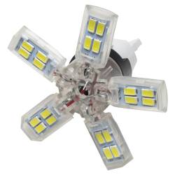 Oracle Lighting - Oracle 5110-001 7440 24 SMD 3-Chip Spider Bulb Cool White Single - Image 2