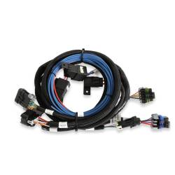 Holley EFI - Holley Sniper EFI 565-307K HyperSpark Kit w/565-307 Jeep 258 - Image 5