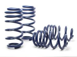 H&R Special Springs LP - H&R 29200-2 Sport Spring for Audi A6 Quattro - Image 1