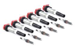 Dinan - Dinan D655-0011 Performance Ignition Coil - Image 2