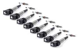 Dinan - Dinan D655-0013 Performance Ignition Coil - Image 1