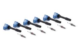 Dinan - Dinan D655-0006 Performance Ignition Coil - Image 1