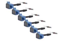 Dinan - Dinan D655-0006 Performance Ignition Coil - Image 2
