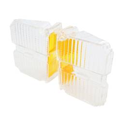 Trim Parts - Trim Parts A4825 1971 GMC Sprint Parking Light Lens PAIR - Image 2