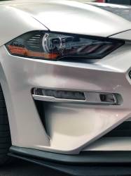 Drake Muscle - Drake Muscle JR3B-15200-AB 18-20 Ford Mustang Turn Signal Guard - Image 2