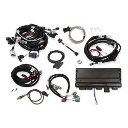 Holley EFI - Holley EFI 550-918-B Fuel Injection System - Image 1