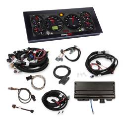 Holley EFI - Holley EFI 550-919-2 Electronic Fuel Injection System - Image 2